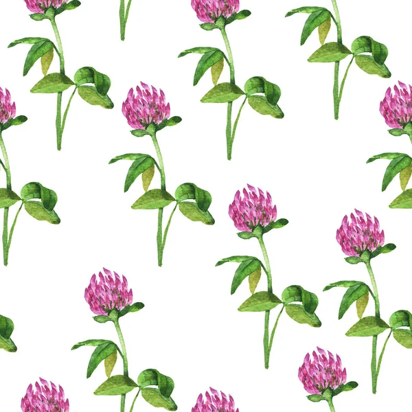 白地にライラック クローバー花模様のシームレスなパターン 手描き水彩イラスト — ストック写真