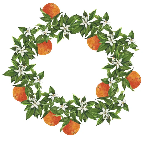 Orange Grenar Med Frukter Blad Och Blommor Isolerad Vit Bakgrund — Stockfoto