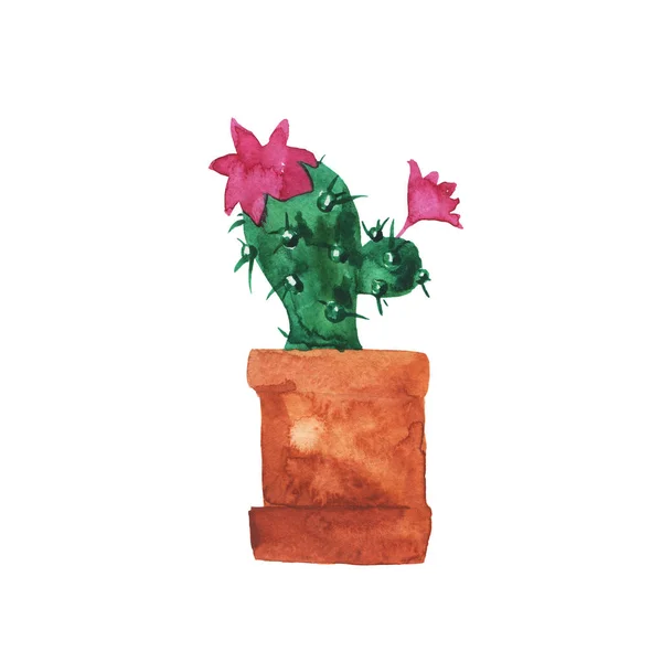 Doodle Cactus Verde Con Flores Rosadas Maceta Marrón Aislada Sobre —  Fotos de Stock