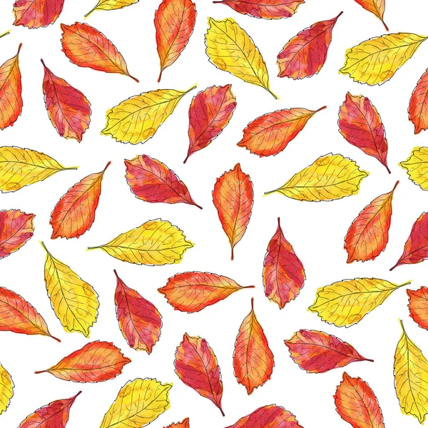 Kırmızı ve sarı sonbahar ile Seamless modeli beyaz zemin üzerine bırakır. Suluboya ve mürekkep çizilen illüstrasyon el.