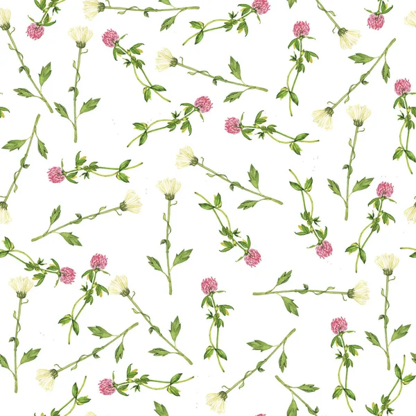 Naadloze Patroon Met Roze Klaver Kamille Bloemen Witte Achtergrond Hand — Stockfoto