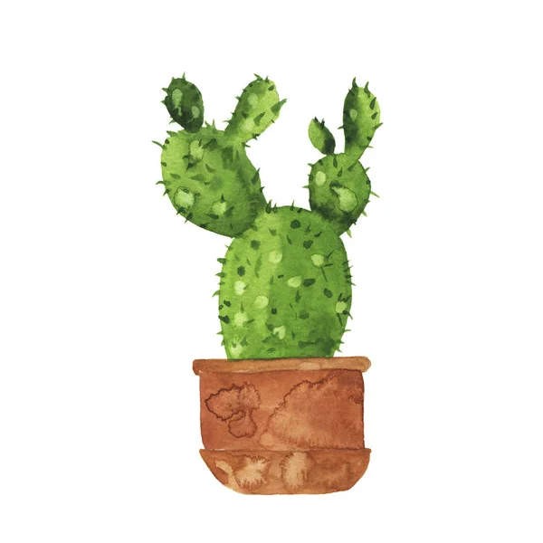 Kreslený Zelený Kaktus Hnědý Květináč Izolovaných Bílém Pozadí Ručně Tažené — Stock fotografie
