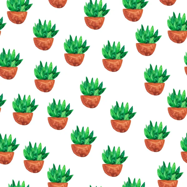 Naadloze Patroon Met Doodle Groen Bloempotten Witn Vetplanten Witte Achtergrond — Stockfoto