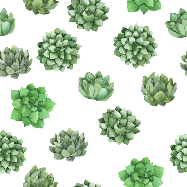 Beyaz arka plan üzerinde taze yeşil kaktüs bitkileri ile Seamless modeli. El suluboya resim çekilmiş.