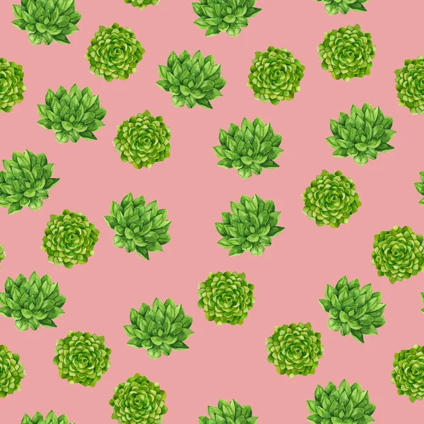 Motif Sans Couture Avec Des Plantes Cactus Vert Sur Fond — Photo