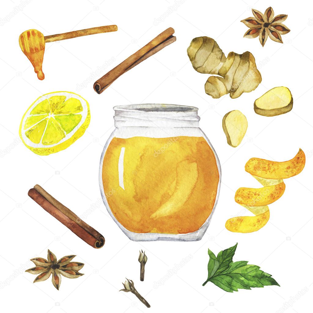 Set of honey jar, ginger, lemon, orange peel, cinnamon and cloves isolated on white background. Hand drawn watercolor illustration.
