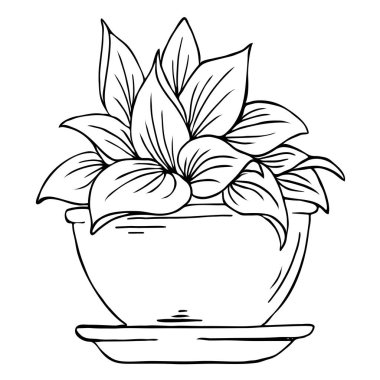 Beyaz arka plan üzerinde izole siluet pot bitki. Karikatür mürekkep kroki. Çizilmiş vektör çizim el.