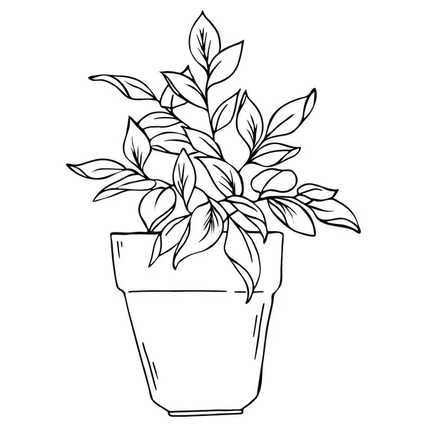 シルエット鉢植えは 白い背景で隔離 漫画インク スケッチ 手描きの背景イラスト — ストックベクタ