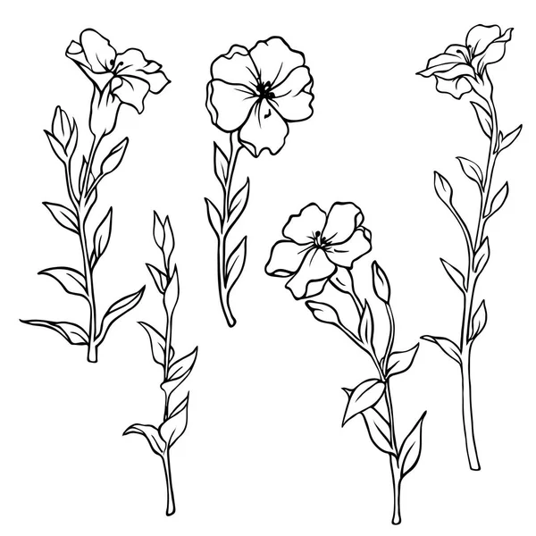 Set Van Silhouet Zomer Bloeiende Bloemen Geïsoleerd Een Witte Achtergrond — Stockvector