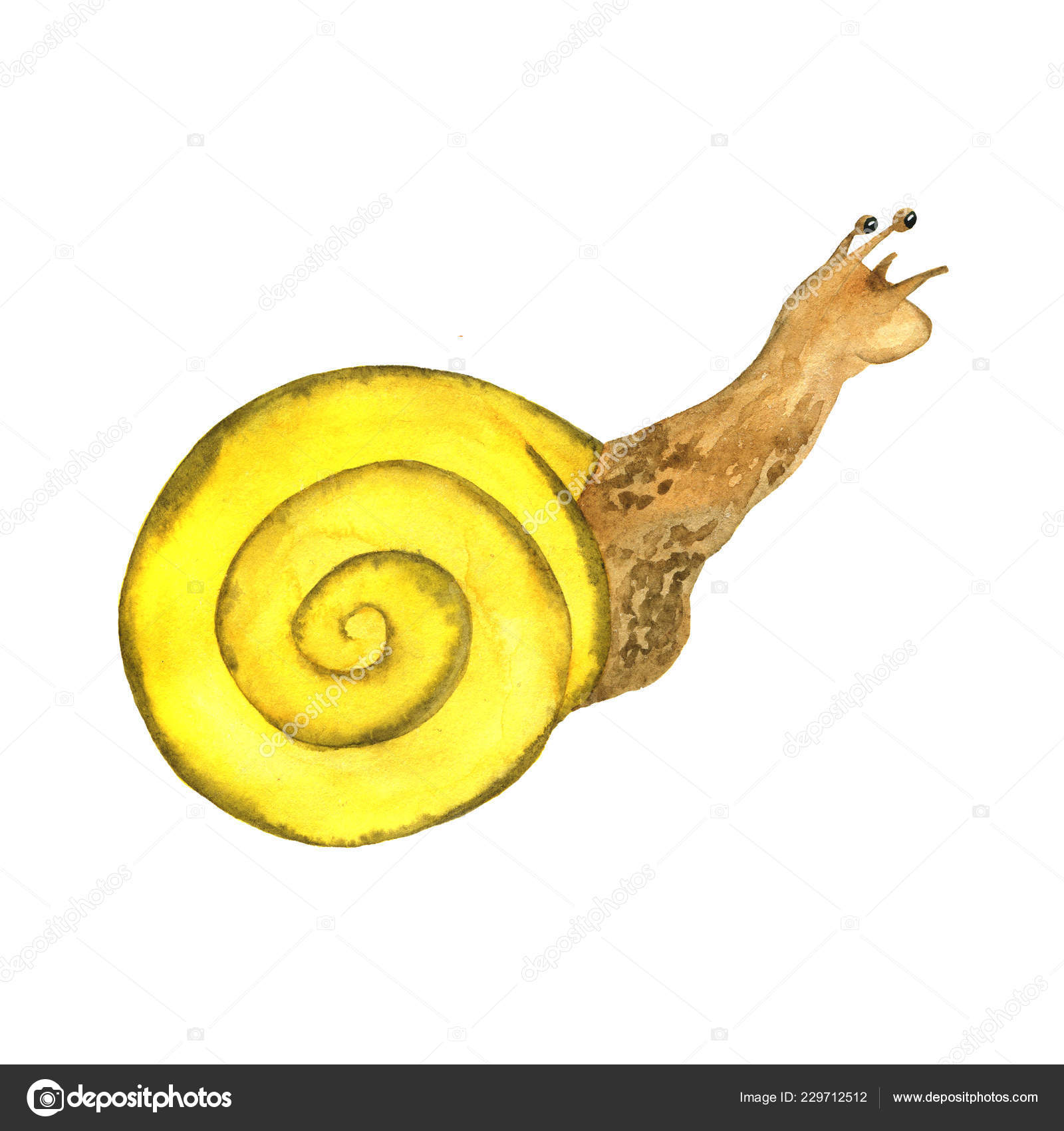 Coquille Escargot Images Libres De Droit Photos De Coquille Escargot Depositphotos Coquille Escargot Images Libres De Droit Photos De Coquille Escargot Depositphotos