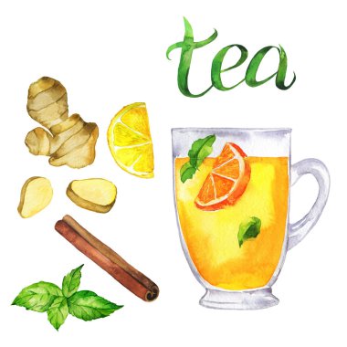 Bitkisel nane ve tarçın, taze nane, zencefil ve beyaz arka plan üzerinde izole limon portakal çay fincan. El yazı. El suluboya resim çekilmiş.