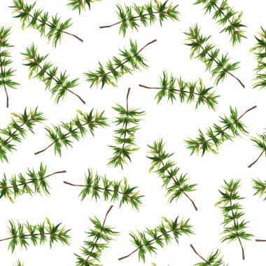 Beyaz zemin üzerine yeşil Çamın dalları ile Seamless modeli. El suluboya resim çekilmiş.