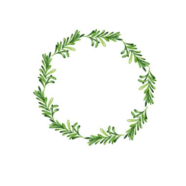 Yeşil biberiye dalı bitkisel çerçeve beyaz arka plan üzerinde izole. El suluboya resim çekilmiş.