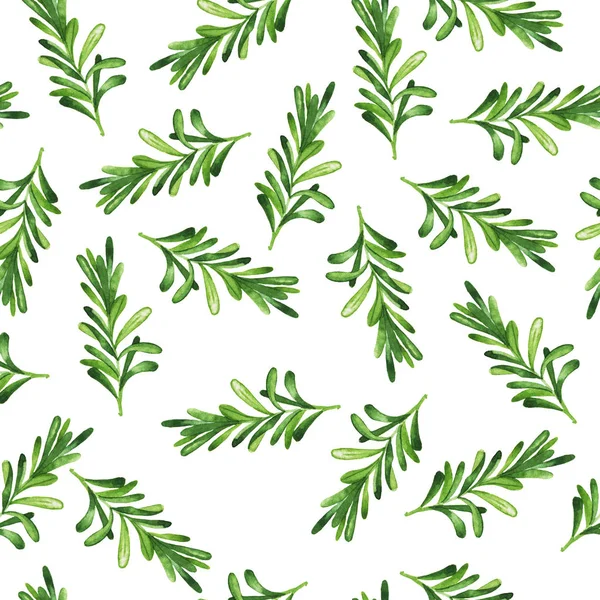 Seamless Pattern Green Rosemary Branches White Background Hand Drawn Watercolor — Stock Photo, Image