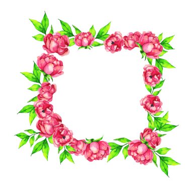 Beyaz arka planda pembe şakayık veya gül çiçeği sınırı. El çizilmiş suluboya illüstrasyon. 