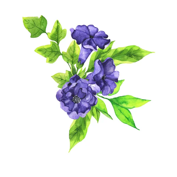 Friss Kék Virágok Zöld Levelek Ágak Csokor Elszigetelt Fehér Background — Stock Fotó