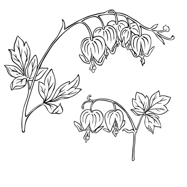 Ramas Decorativas Con Flores Aisladas Sobre Fondo Blanco Ilustración Vectorial — Archivo Imágenes Vectoriales