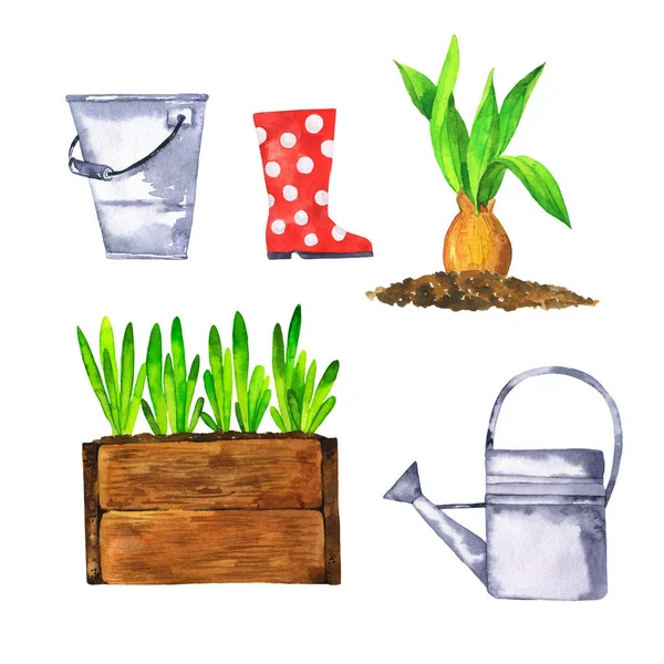 一套春天的花园元素 浇水罐 新鲜的植物隔离在白色背景 手绘水彩插图 — 图库照片