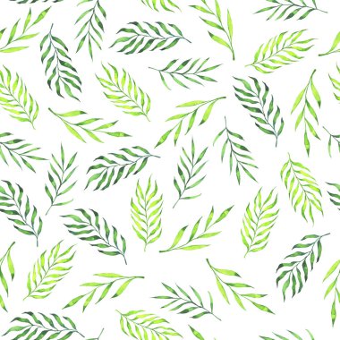 Taze yeşil palmiye ile Seamless modeli beyaz zemin üzerine bırakır. El suluboya resim çekilmiş