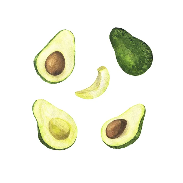 Set Frischer Avocado Und Avocadoscheiben Isoliert Auf Weißem Hintergrund Handgezeichnete — Stockfoto