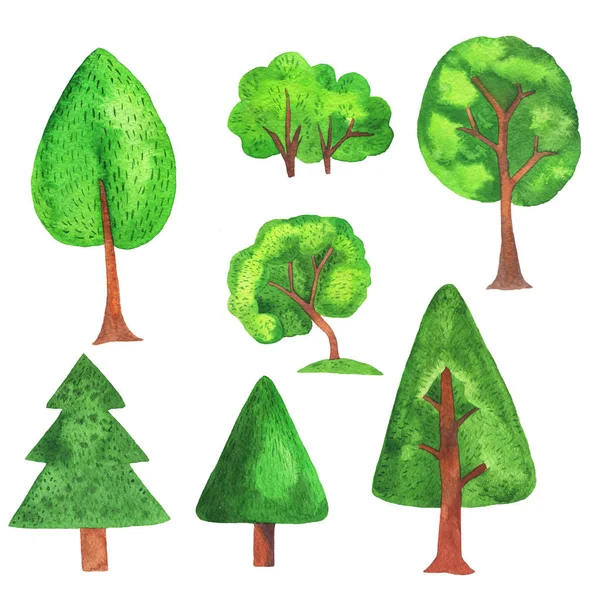 Set Scandinavian Forest Trees Isolated White Background Hand Drawn Watercolor — Stock Photo, Image