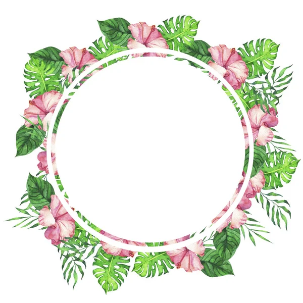 Тропічні Рожеві Квіти Гібіскуса Пальми Каркас Листя Монстрів Ізольовані Білому — стокове фото
