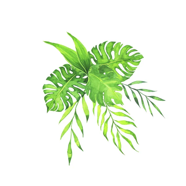 Tropikalne Zielone Palmy Monstera Liść Bukiet Białym Tle Rysunek Ręcznie — Zdjęcie stockowe