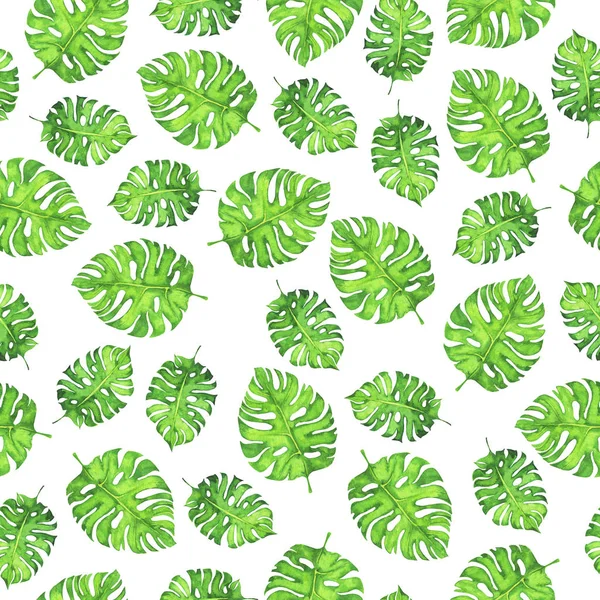 Sada Čerstvých Zeleninových Cibulí Izolovaných Bílém Pozadí Akvarel Kreslené — Stock fotografie