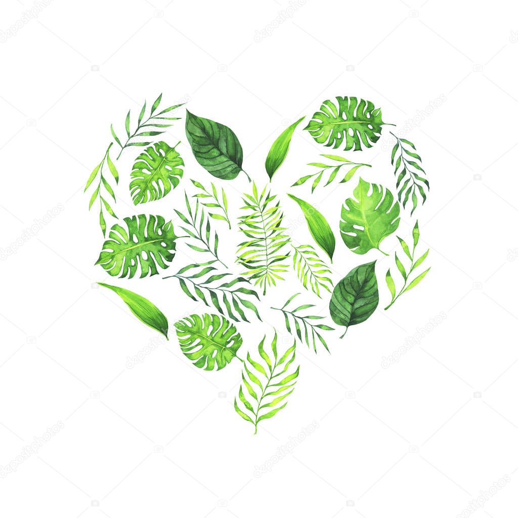 Tropic leaves heart isolated on white background. Hand drawn watercolor illustration.