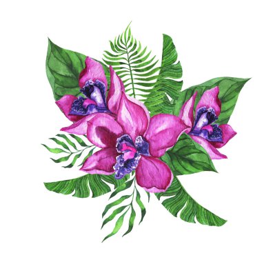 Taze yeşil tropikal yaprakları ve pembe orkide çiçek buket beyaz arka plan izole. El çizilmiş suluboya illüstrasyon