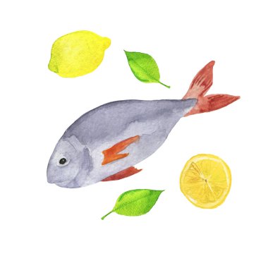 Taze gri balık, limon ve otlar beyaz arka plan üzerinde izole. El çizilmiş suluboya illüstrasyon.