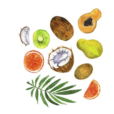 Taze meyve seti: Papaya, Hindistan cevizi. Kivi, turuncu beyaz arka planda izole. El çizilmiş suluboya illüstrasyon.