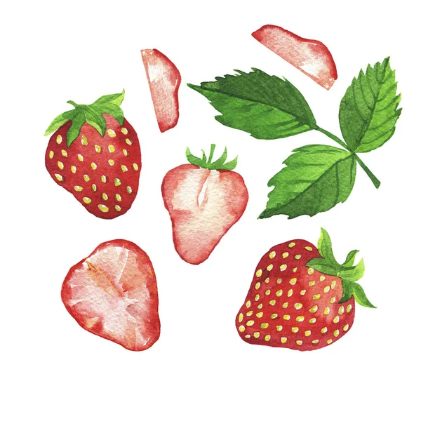 Čerstvé Červené Jahody Zelené Listy Izolované Bílém Pozadí Akvarel Kreslené — Stock fotografie