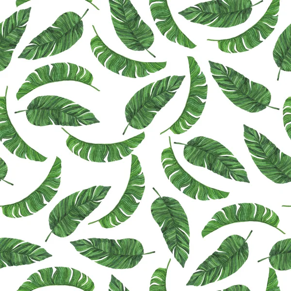 白い背景に熱帯緑のバナナの葉とシームレスなパターン 手描き水彩イラスト — ストック写真