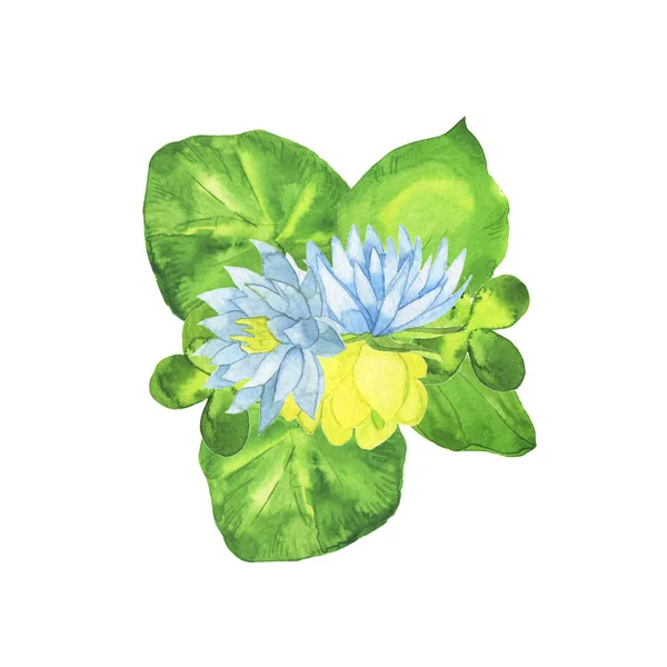 Wild Lake Flowers Leaves Bouquet Isolated White Background Hand Drawn — 스톡 사진