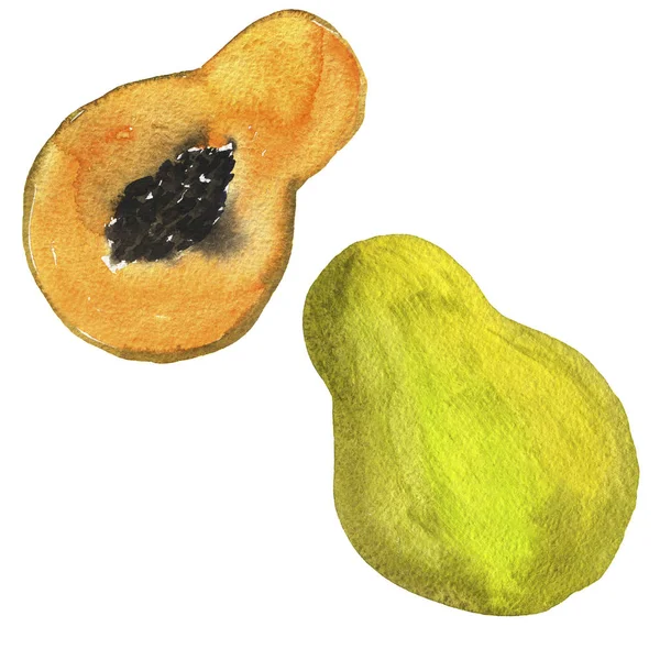 Beyaz Arka Plan Üzerinde Izole Taze Papaya Meyve Seti Çizilmiş — Stok fotoğraf