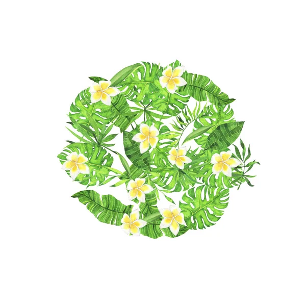 Fresh green tropical leaves and white hawaii flowers circle isolated on white background. Hand drawn watercolor illustration.