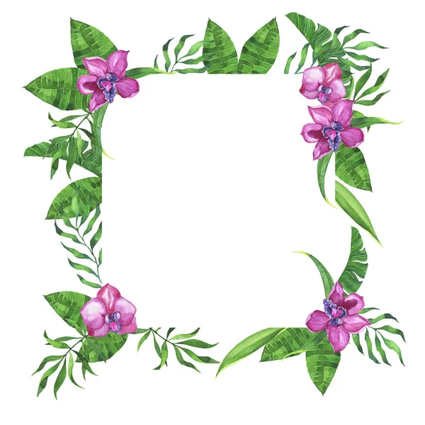 Green Tropical Leaves Pink Orchid Flowers Frame Isolated White Background — Stock Photo, Image