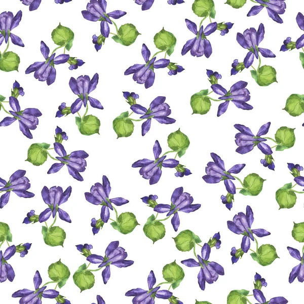 Sömlös Mönster Med Violett Sommarblommor Och Gröna Blad Vit Bakgrund — Stockfoto