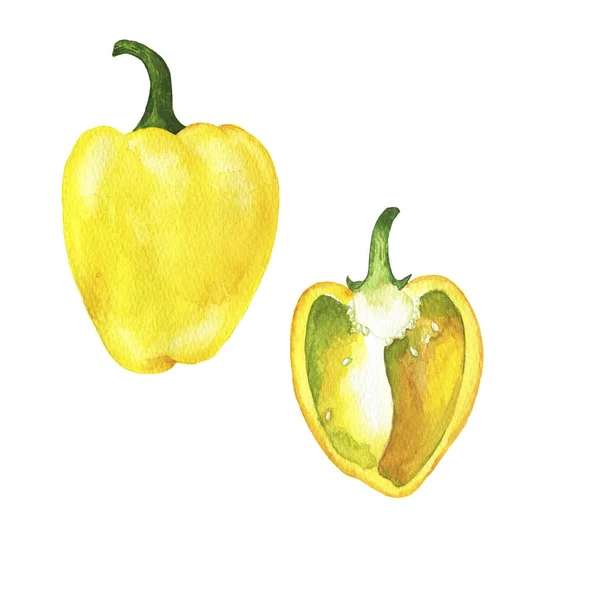 Sada Čerstvých Žlutých Papriček Izolovaných Bílém Pozadí Akvarel Kreslené — Stock fotografie