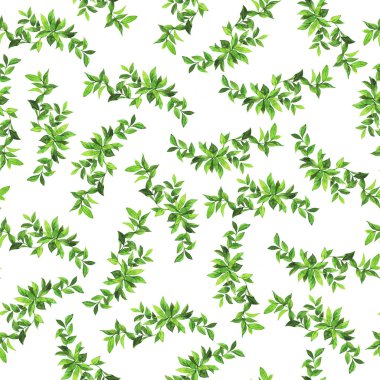 Beyaz arka planda yeşil yaprakları illüstrasyon görünümü yakın