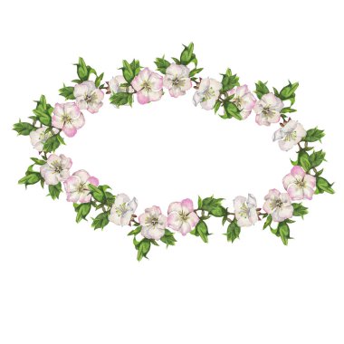 beyaz zemin üzerinde güzel bahar çiçekleri illüstrasyon