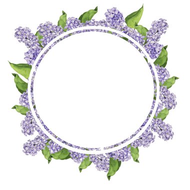 Beyaz güzel illüstrasyon lila çiçek