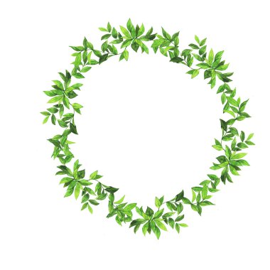 Beyaz arka planda yeşil yaprakları illüstrasyon görünümü yakın