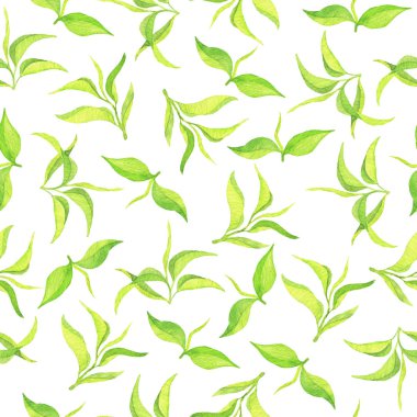 Beyaz arka planda yeşil yaprakları illüstrasyon görünümü yakın