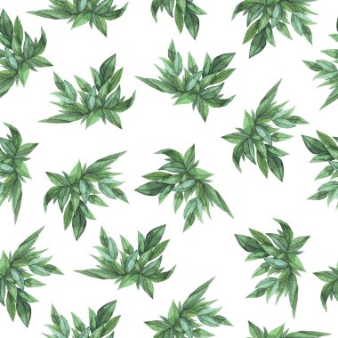 Beyaz arka planda yeşil yaprakları illüstrasyon görünümü yakın