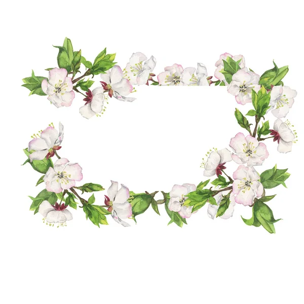 beyaz zemin üzerinde güzel bahar çiçekleri illüstrasyon