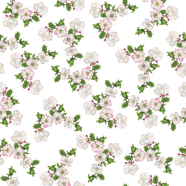 Schöne Frühlingsblumen Illustration Auf Weißem Hintergrund — Stockfoto
