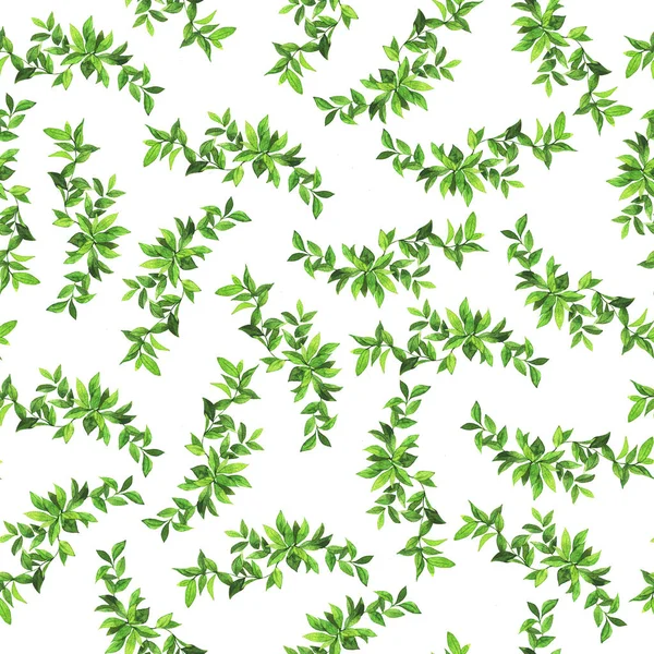 Beyaz arka planda yeşil yaprakları illüstrasyon görünümü yakın