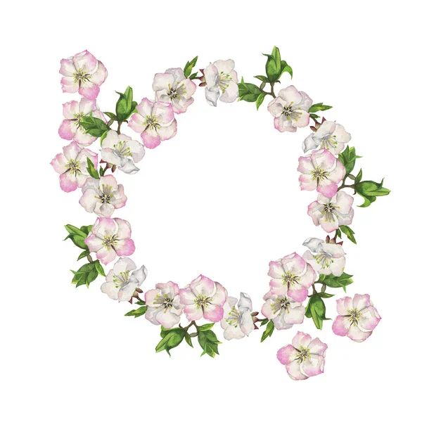 Bela Primavera Flores Ilustração Fundo Branco — Fotografia de Stock